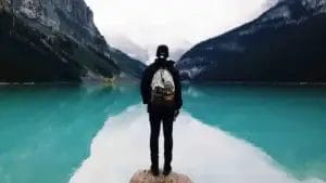 Hoodies and Sweatshirts